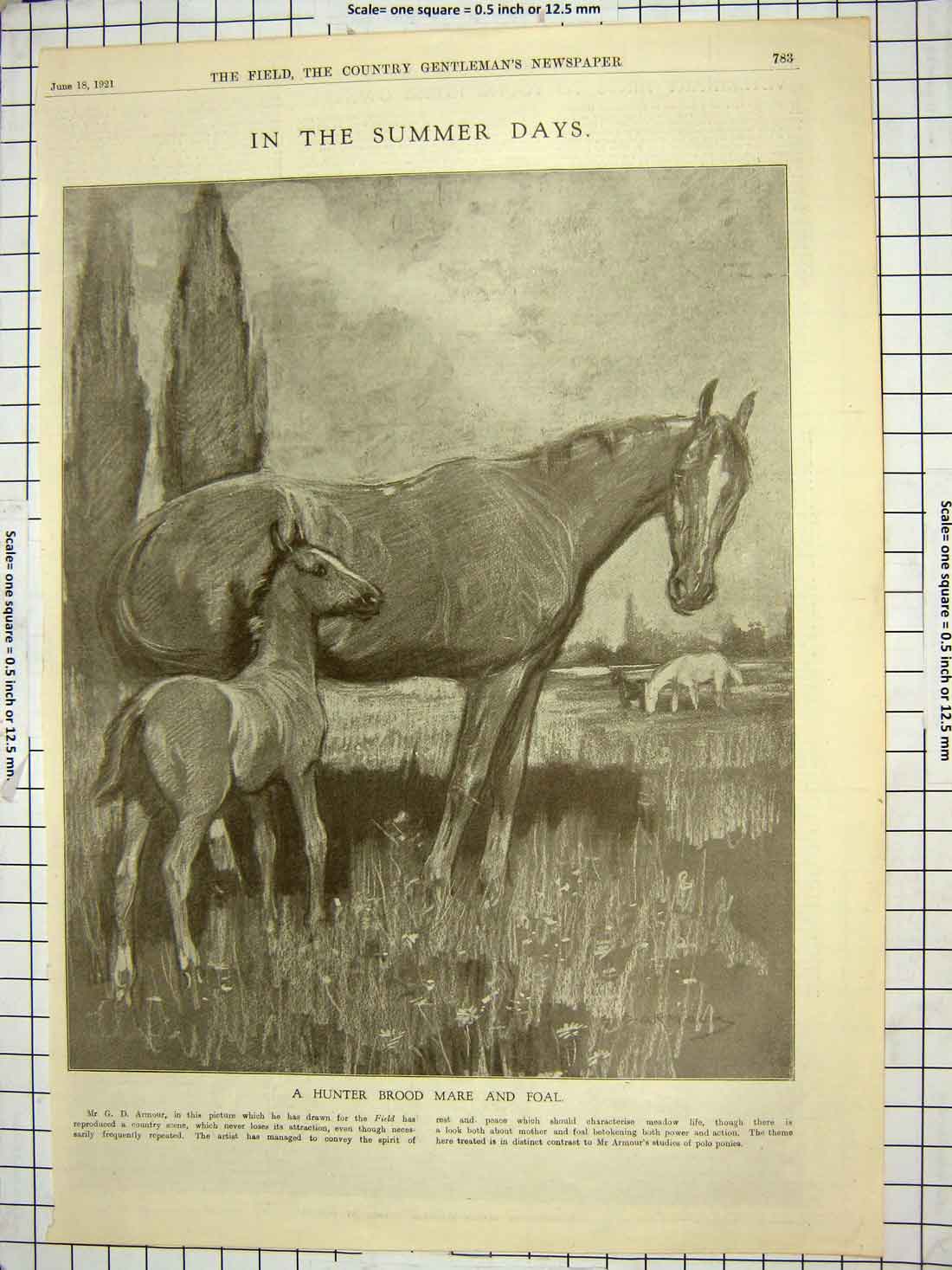 Original Old Vintage Print 1921 Hunter Brood Mare Foal Horses Armour 20th