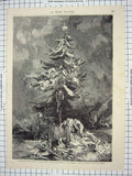 Old Antique Print 1870 Berlin Tree People Guillaume Augusta Edmond Morin 19th