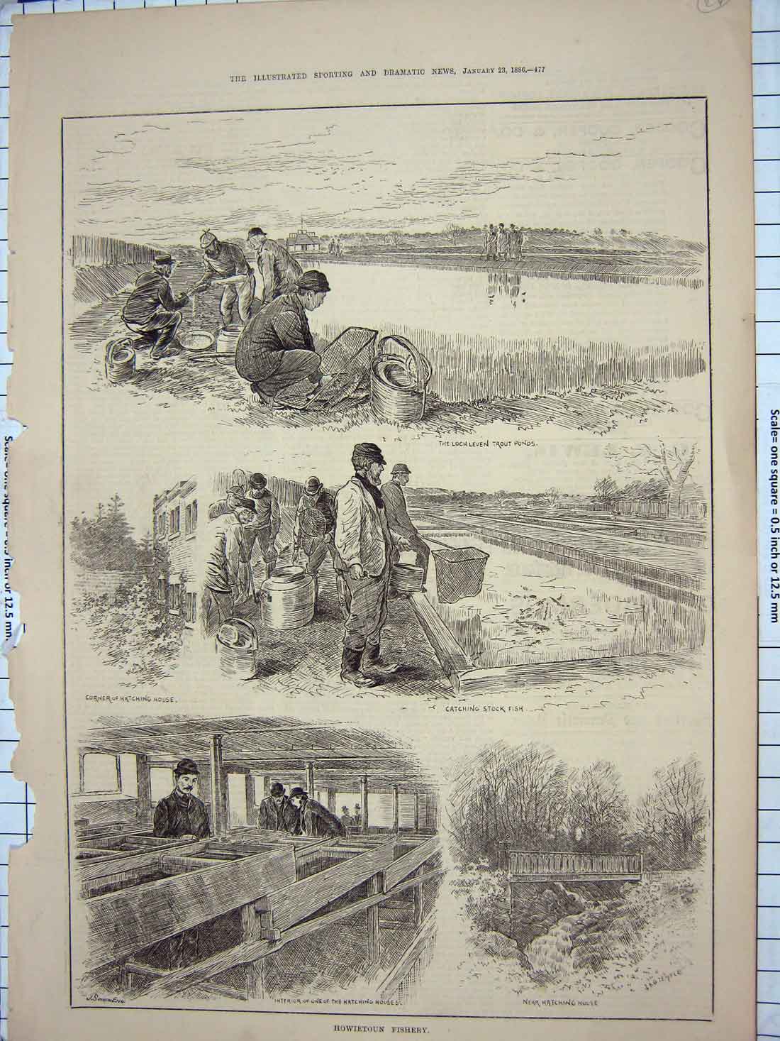 Original Old Antique Print 1886 Howietoun Fishery Lochleven Hatching House Fish