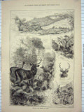 Original Old Antique Print 1885 Driving Sambur India Hunting Sport Victorian