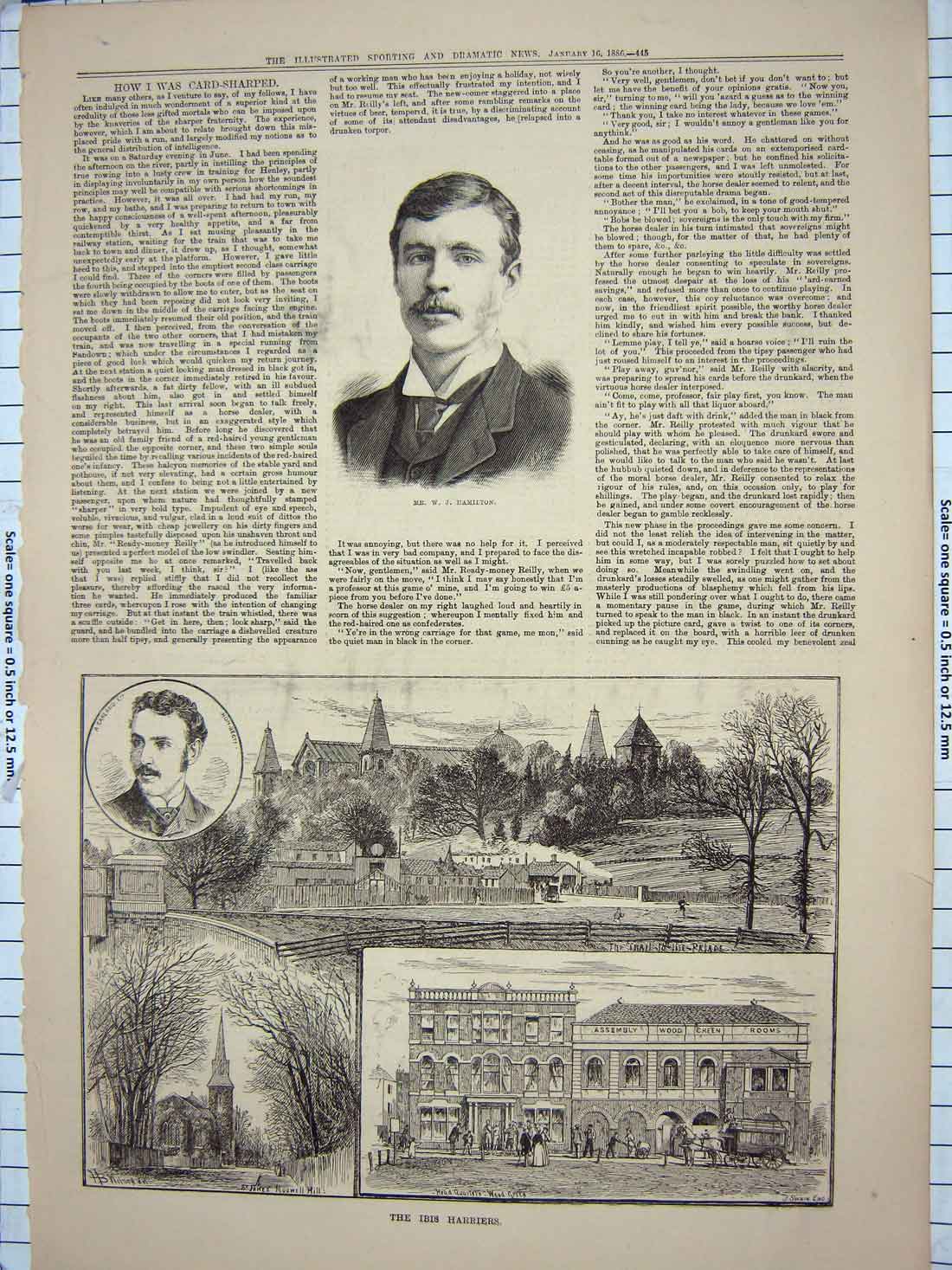Original Old Antique Print 1886 Portrait Hamilton Ibis Harriers Muswell Garland