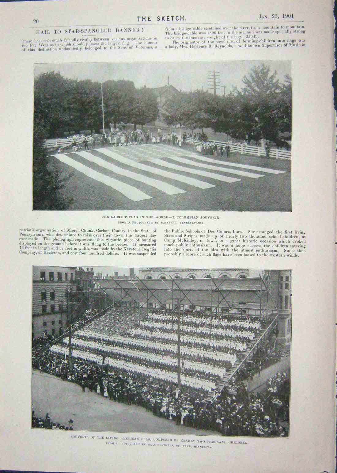 Old Antique Print 1901 Largest America Flag World Crystal Palace Animals 20th