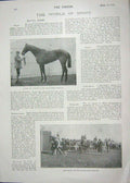 Old Antique Print 1901 Little Eva Horse Lincolnshire Conan Doyle Author 20th