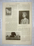 Old Antique Print 1901 Suzanne Sheldon Theatre Beaumont Windsor College 20th