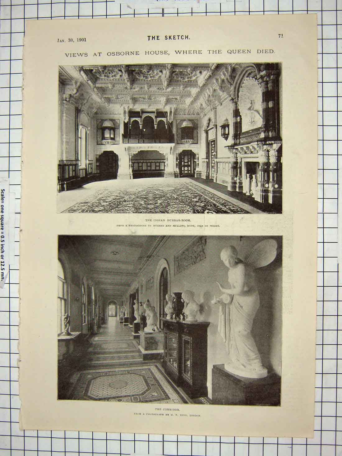 Original Old Antique Print 1901 Osborne Durbar-Room Laing Reid Powell Surgeon