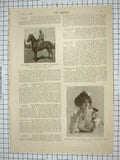 Old Antique Print 1901 Clever Vere Laing Horse Roberts Bodyguard Jester 20th