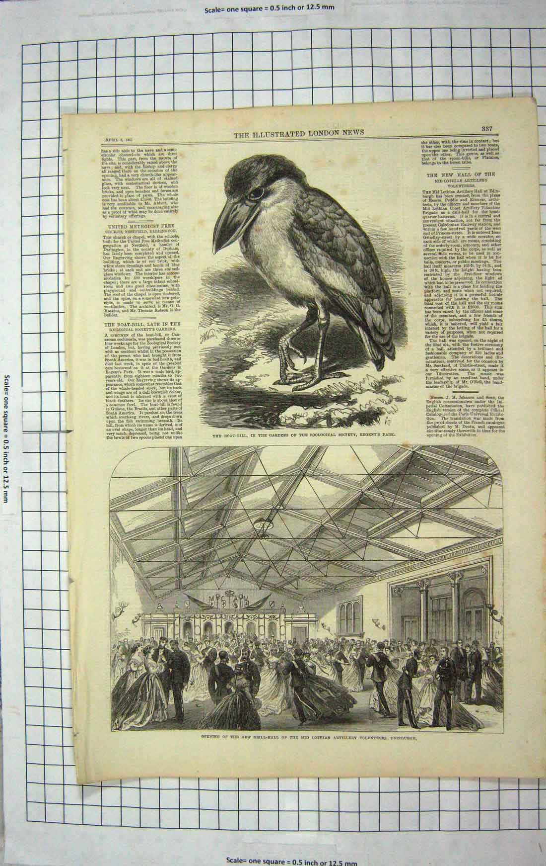Old Antique Print 1867 Boat-Bill Bird Drill-Hall Edinburgh Lothian Army 19th