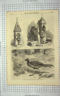 Old Antique Print 1867 Lyre Bird Drinking Fountain Battersea Park Trough 19th