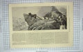Original Old Antique Print 1875 Les Pourvoyeurs De La Cantine Siers Look-Out