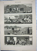 Old Antique Print 1880 Farm Life Canada Cattle Ploughing Harvest Kettle 19th