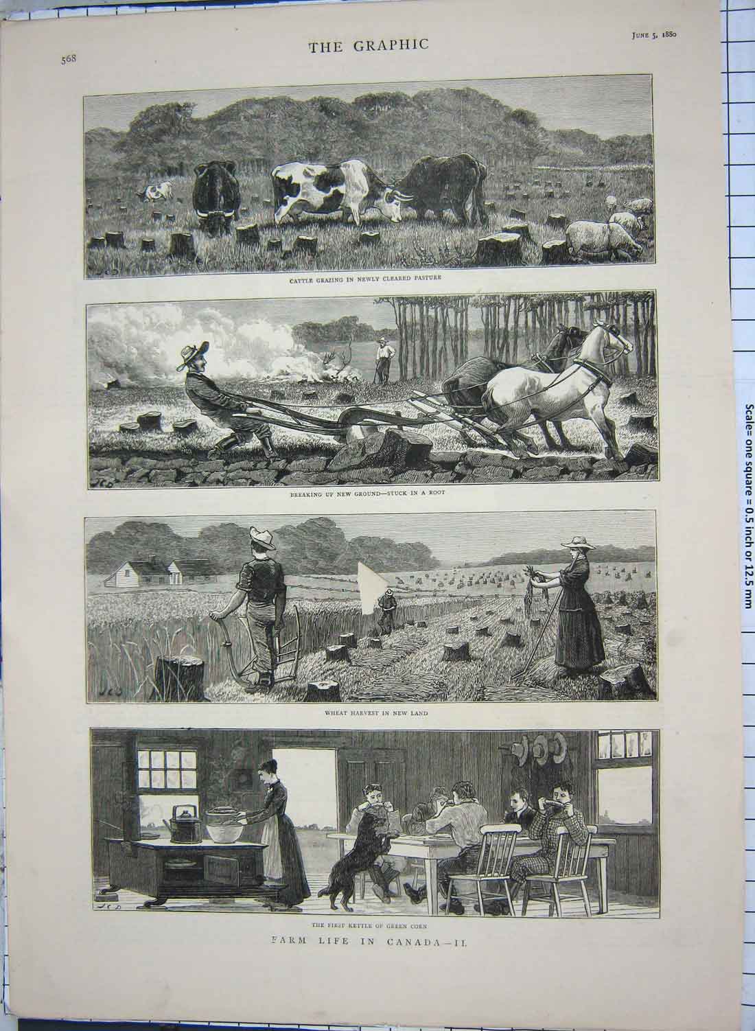 Old Antique Print 1880 Farm Life Canada Cattle Ploughing Harvest Kettle 19th