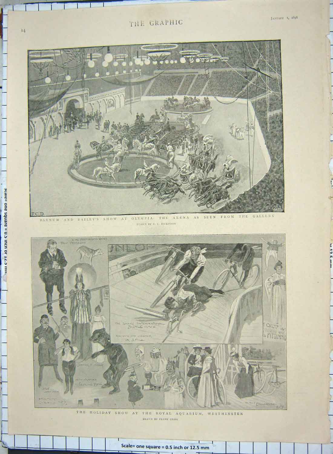 Old Antique Print 1898 Holiday Show Aquarium Westminster Olympia Barnum 19th