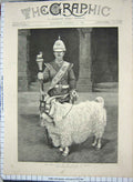 Original Old Antique Print 1889 Pet Goat Welsh Regiment Sier War Cairo Egypt