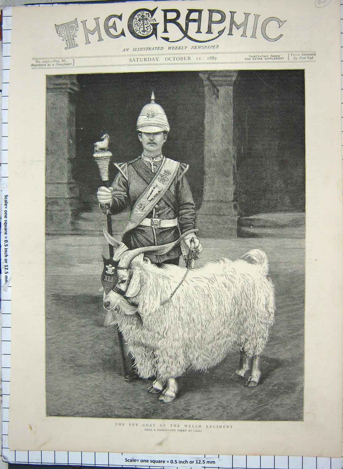 Original Old Antique Print 1889 Pet Goat Welsh Regiment Sier War Cairo Egypt