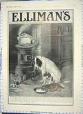 Old Antique Print 1913 Advertisement Ellimans Embrocation Scrubb Ammonia 20th