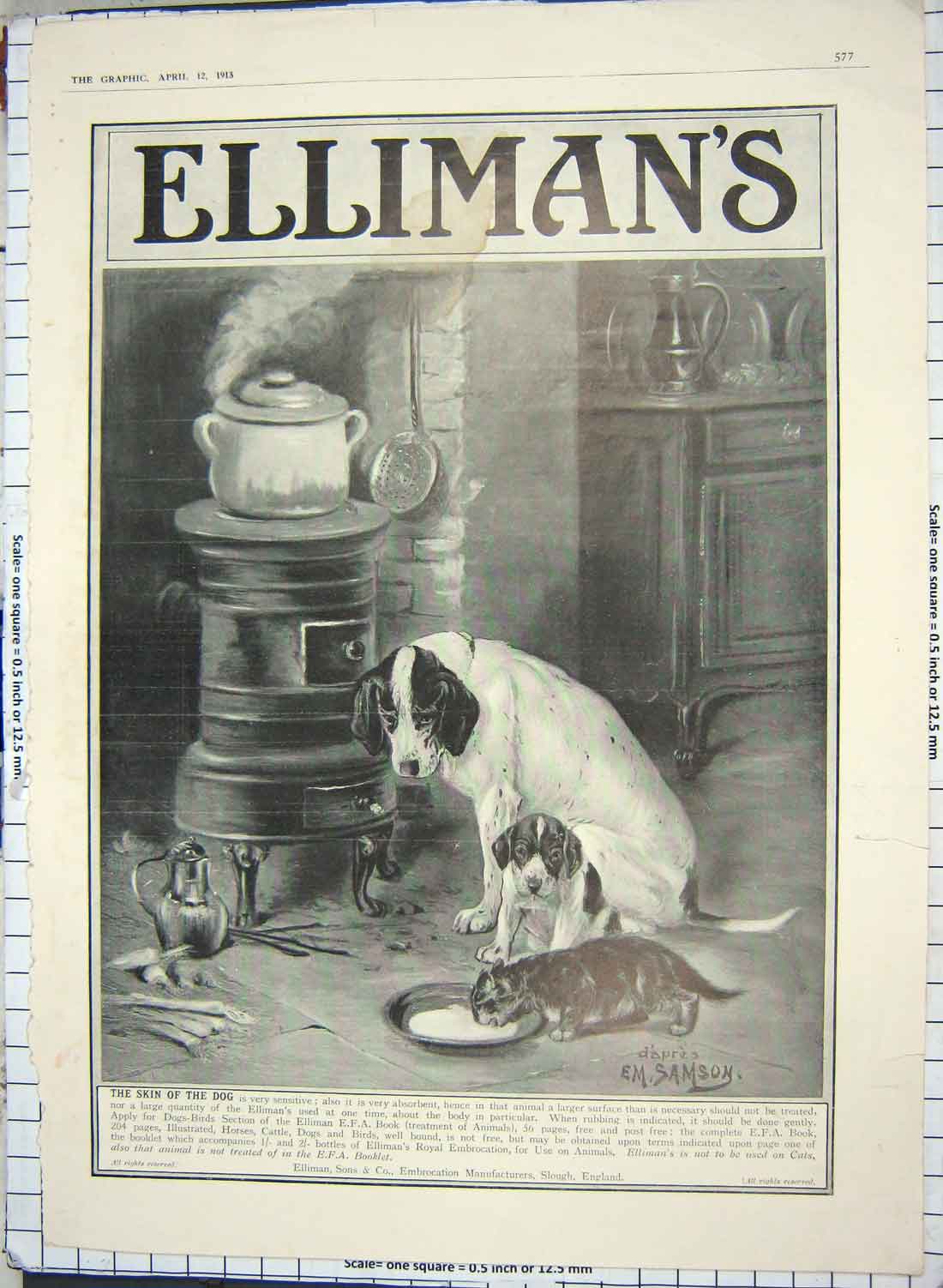 Old Antique Print 1913 Advertisement Ellimans Embrocation Scrubb Ammonia 20th