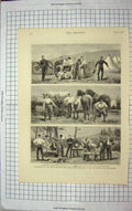 Old Antique Print 1878 Camp Royal Horse Artillery New Forest Breconshire 19th