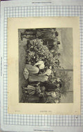 Original Old Antique Print 1894 Country Flower Show Arthur Hopkins Fine Art