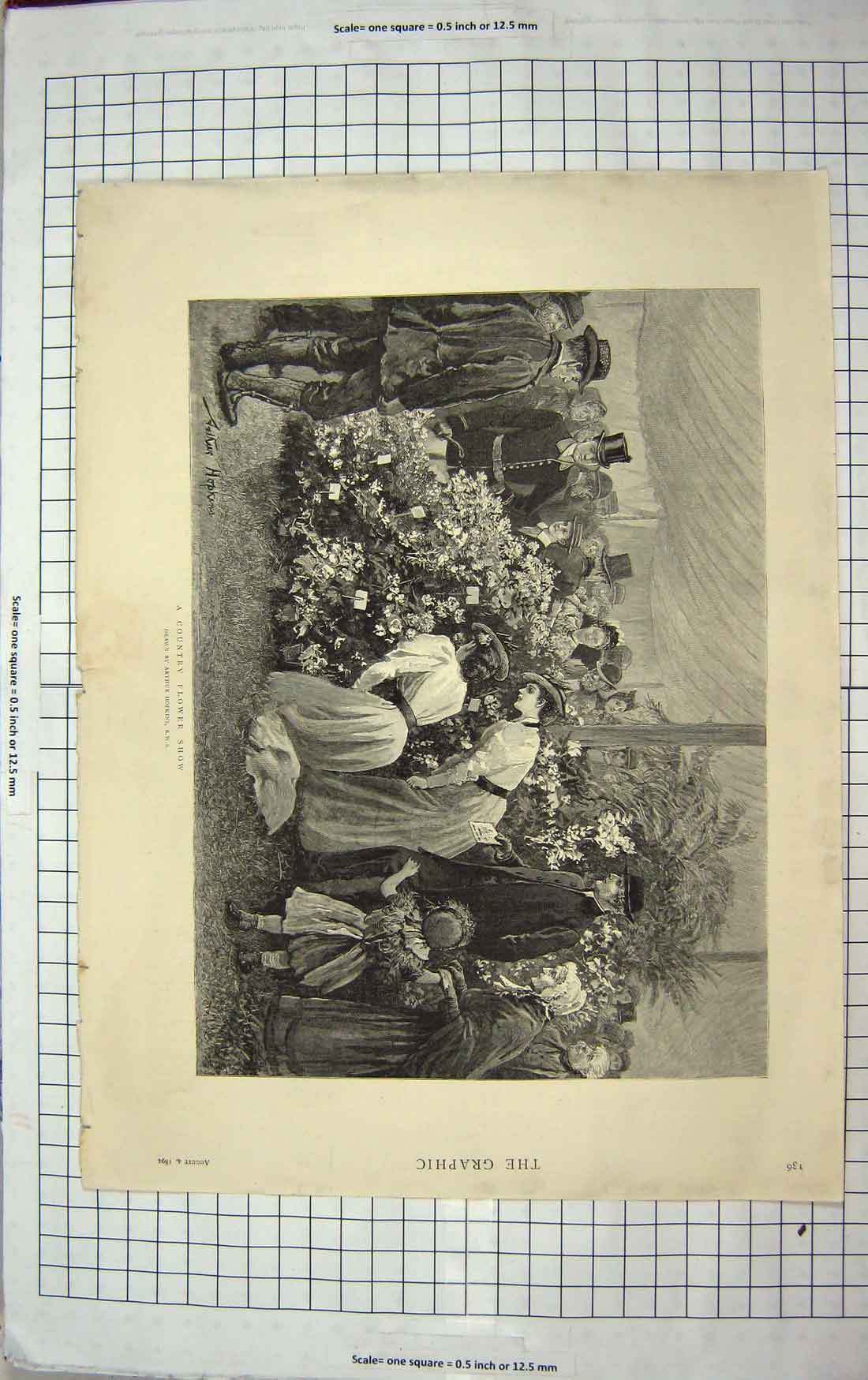 Original Old Antique Print 1894 Country Flower Show Arthur Hopkins Fine Art