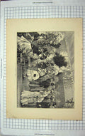 Original Old Antique Print 1872 Woods Fine Art Flower Show Statue Ladies Men