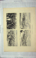 Old Antique Print *3725 1871 Steeplechasing Aldershot Horse Racing Sport