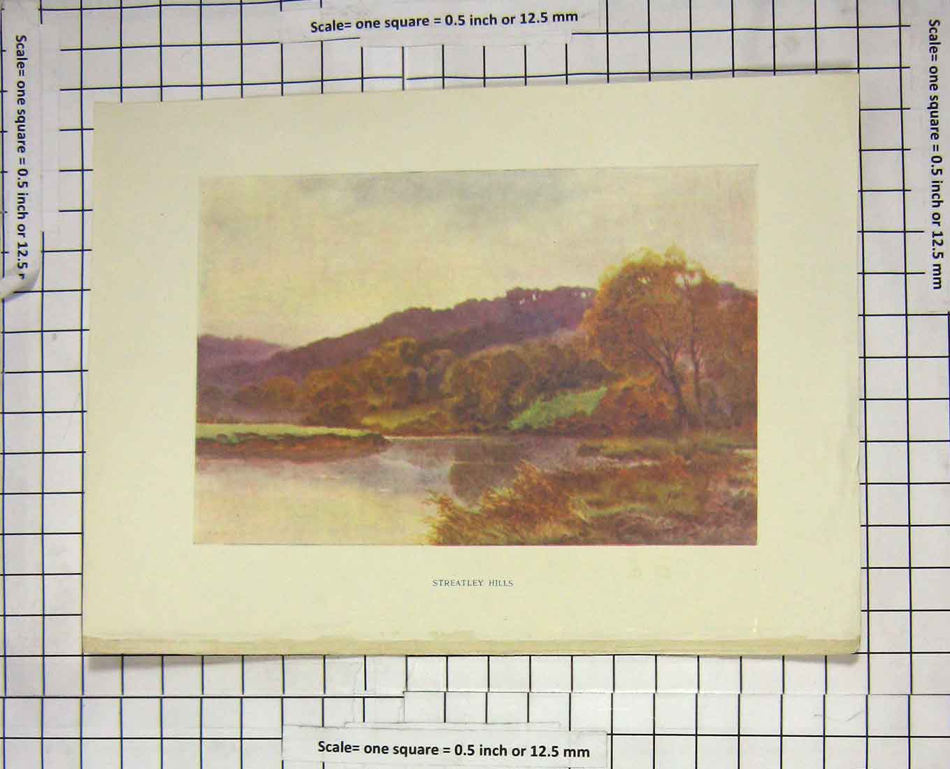 Original Old Antique Print Colour View Streatley Hill Trees Lake Landscape