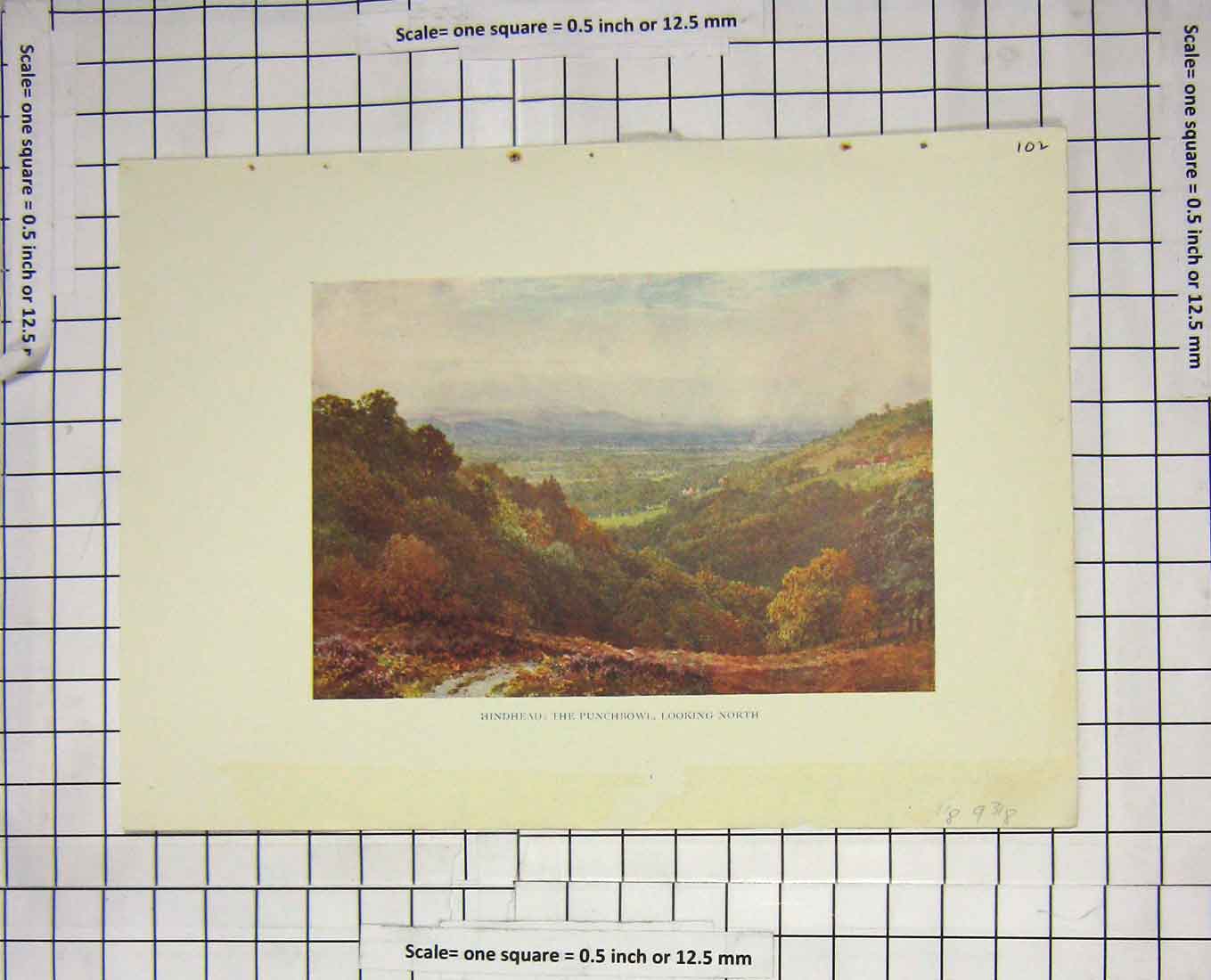 Original Old Antique Print Colour View Hindhead Punchbowl Landscape