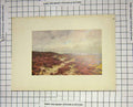 Original Old Antique Print Colour Countryside Landscape Heather