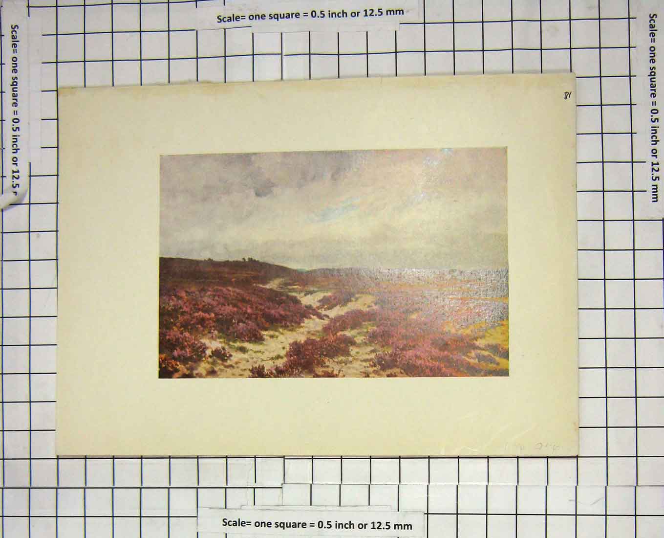 Original Old Antique Print Colour Countryside Landscape Heather