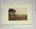 Original Old Antique Print Colour View Reigate Heath Trees Landscape