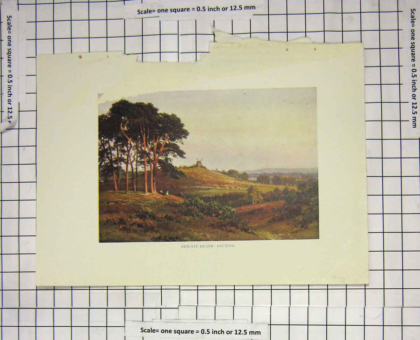Original Old Antique Print Colour View Reigate Heath Trees Landscape