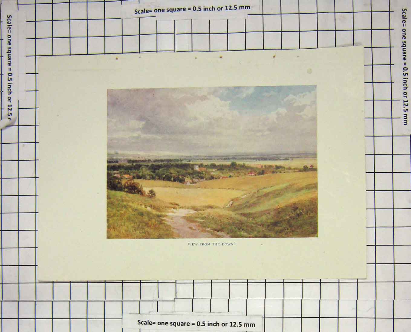 Original Old Antique Print Colour View Downs Countryside Landscape