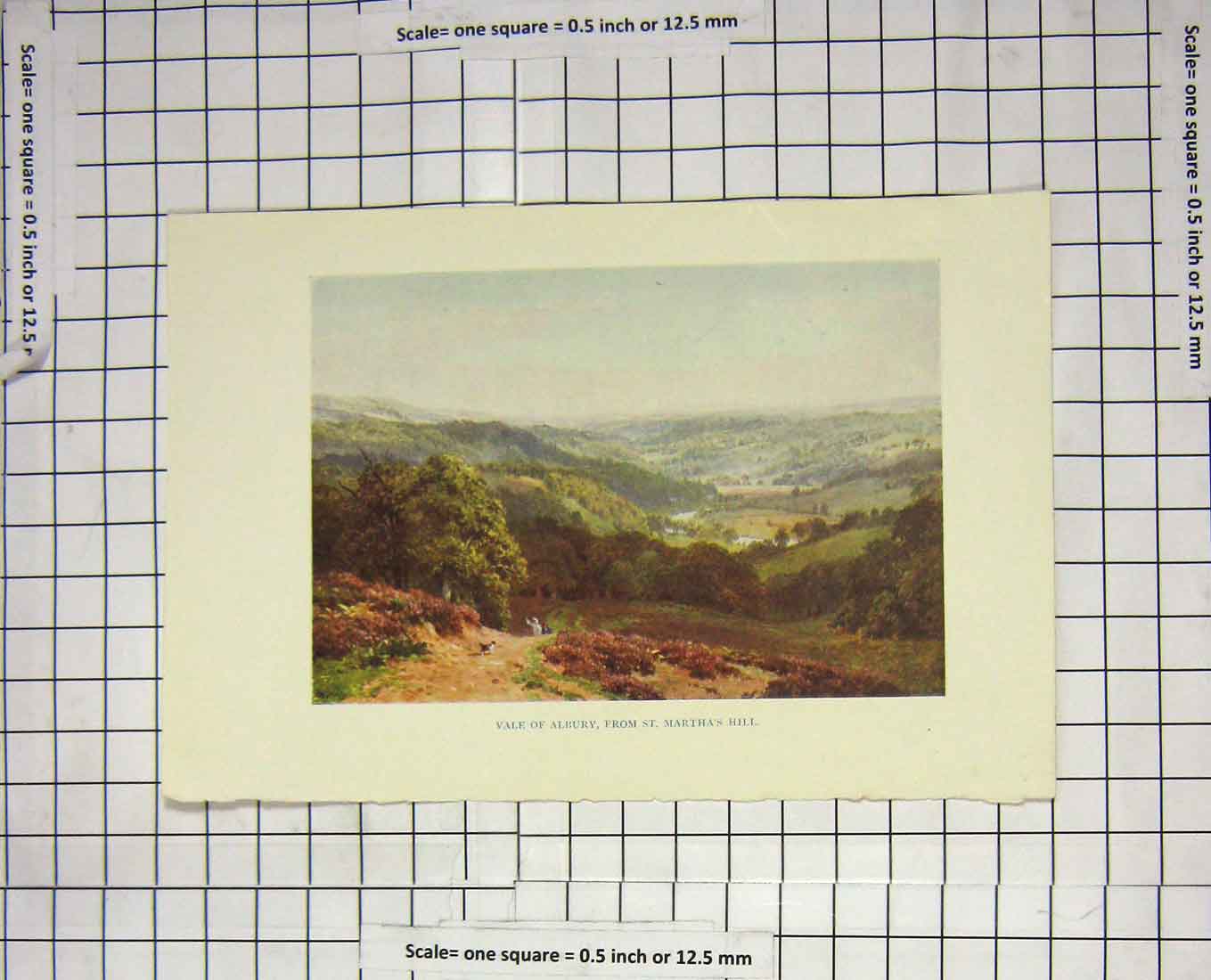 Original Old Antique Print Colour View Vale Albury St. Martha'S Hill