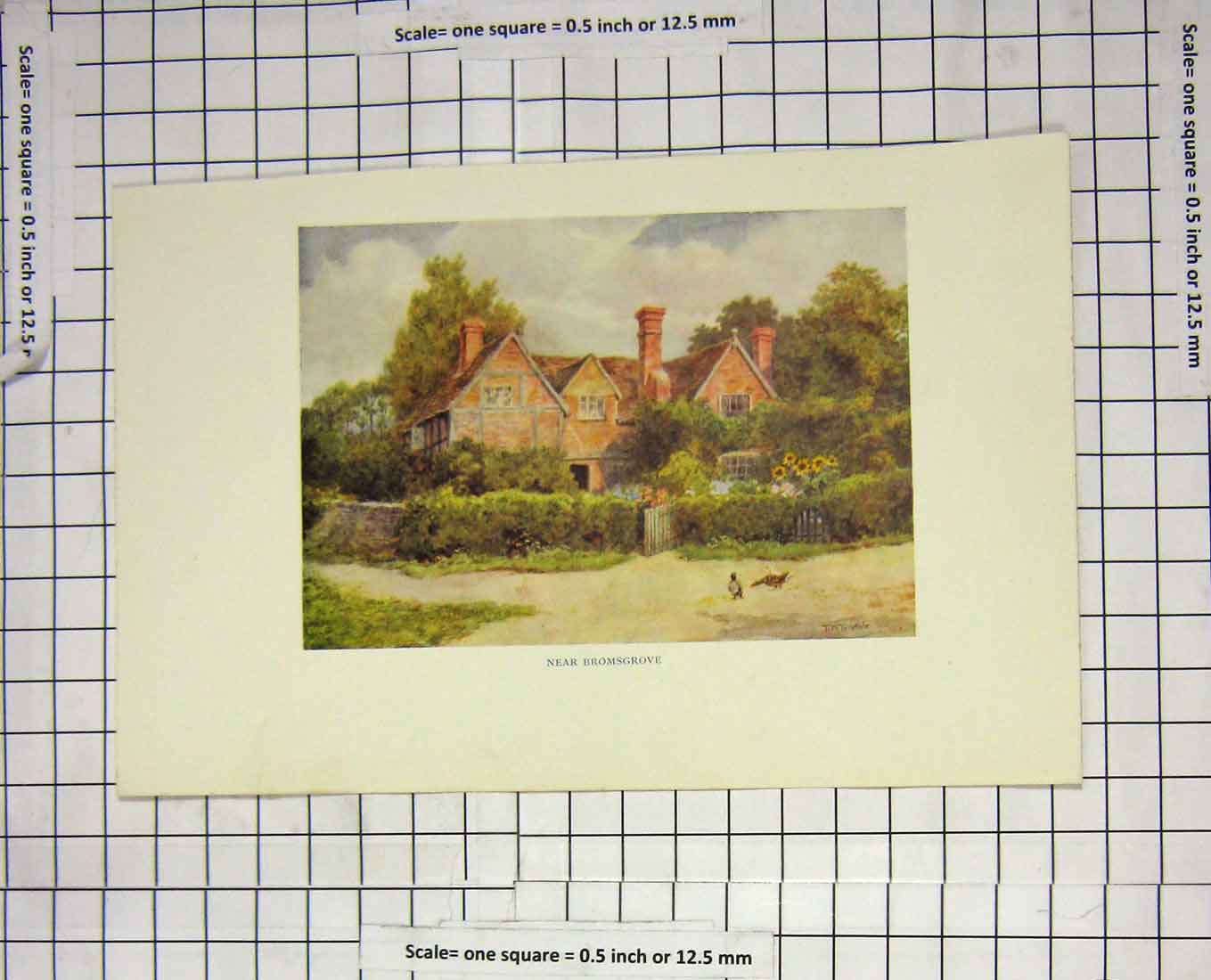 Original Old Antique Print Colour View Near Bromsgrove House Birds