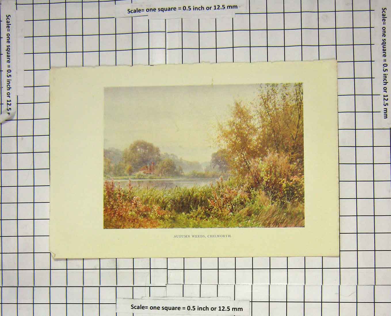 Original Old Antique Print Colour View River Autumn Weeds Chilworth