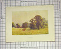 Original Old Antique Print Colour View Cobham Park Deer Stags Haslehust