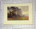 Original Old Antique Print Colour View Gipsies Charbour Haslehust