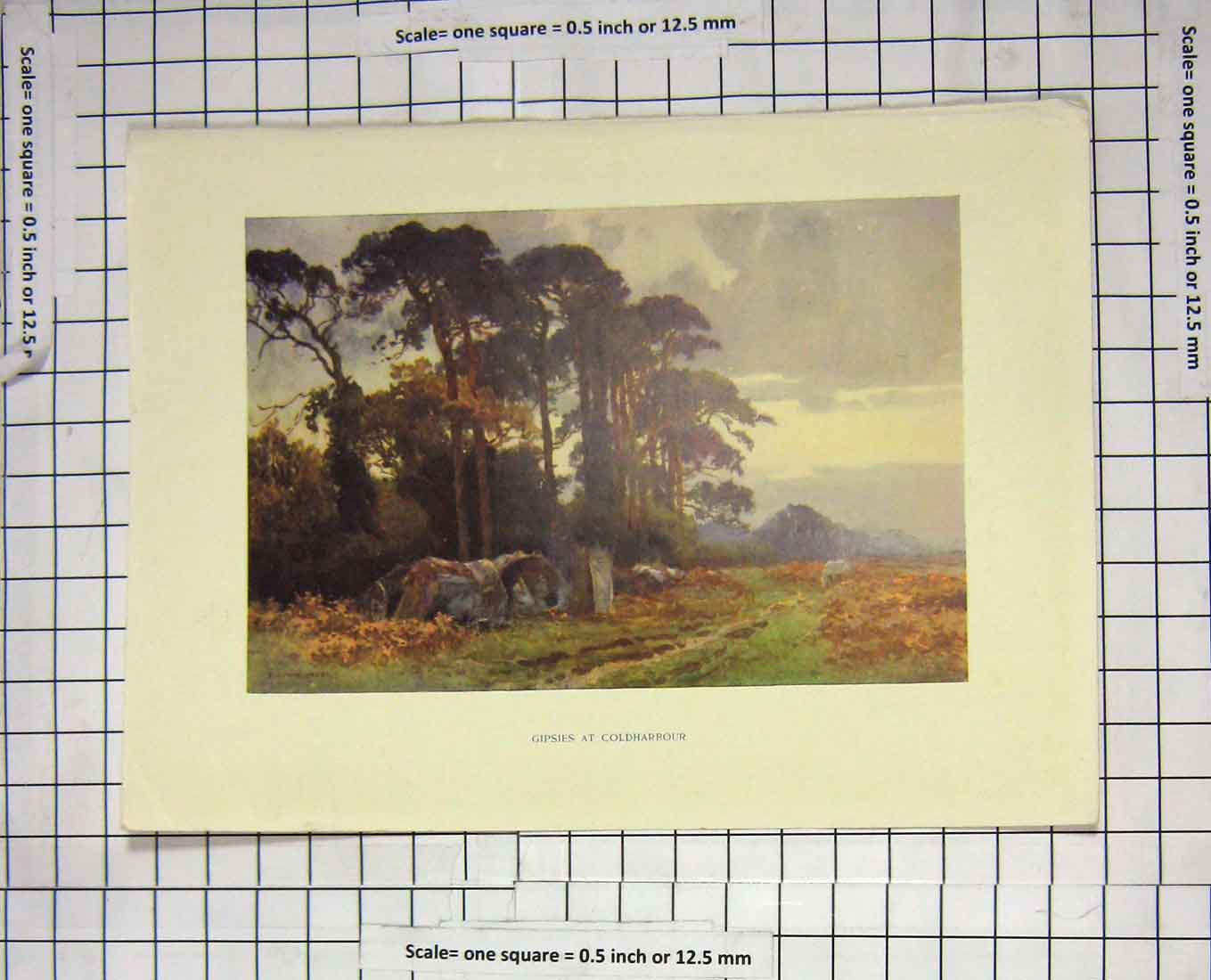 Original Old Antique Print Colour View Gipsies Charbour Haslehust