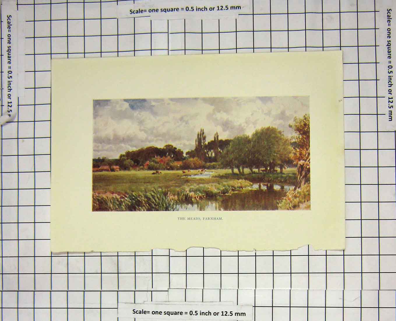 Original Old Antique Print Colour View Meads Farnham England River