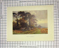 Original Old Antique Print Colour View Gipsies Camp Charbour Haslehust