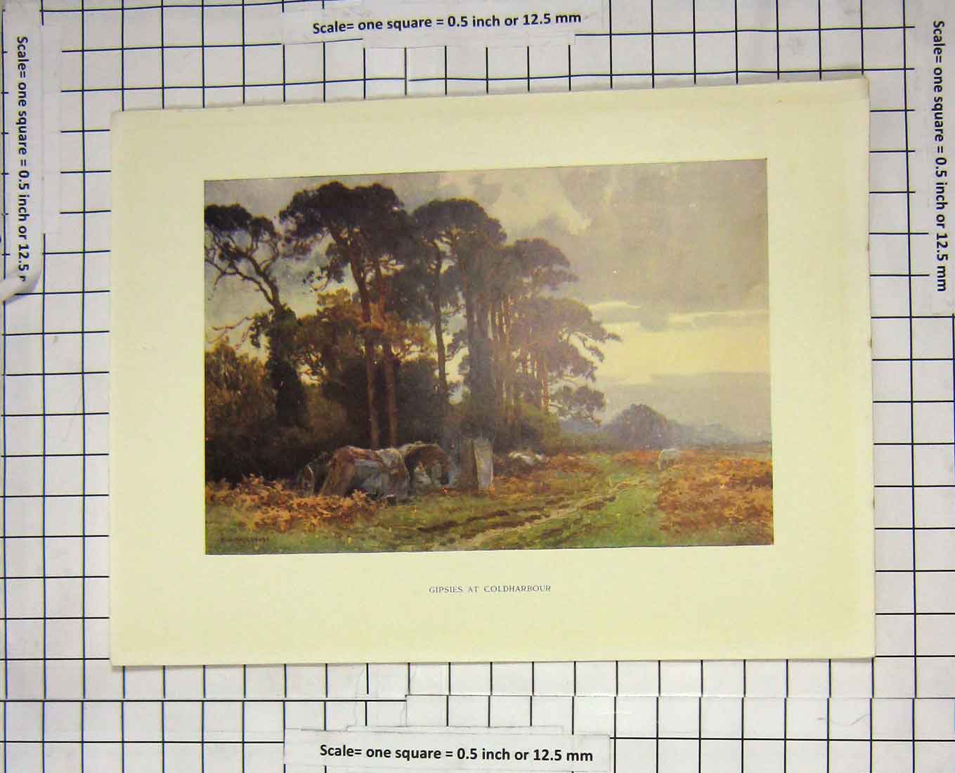 Original Old Antique Print Colour View Gipsies Camp Charbour Haslehust