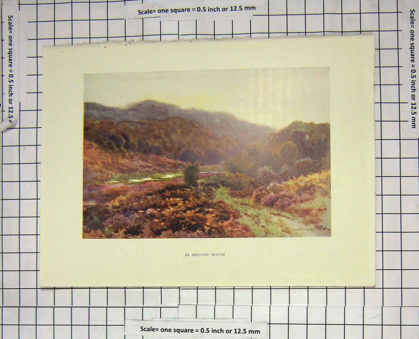 Original Old Antique Print Colour Scene By Broomywater Trees Haslehust