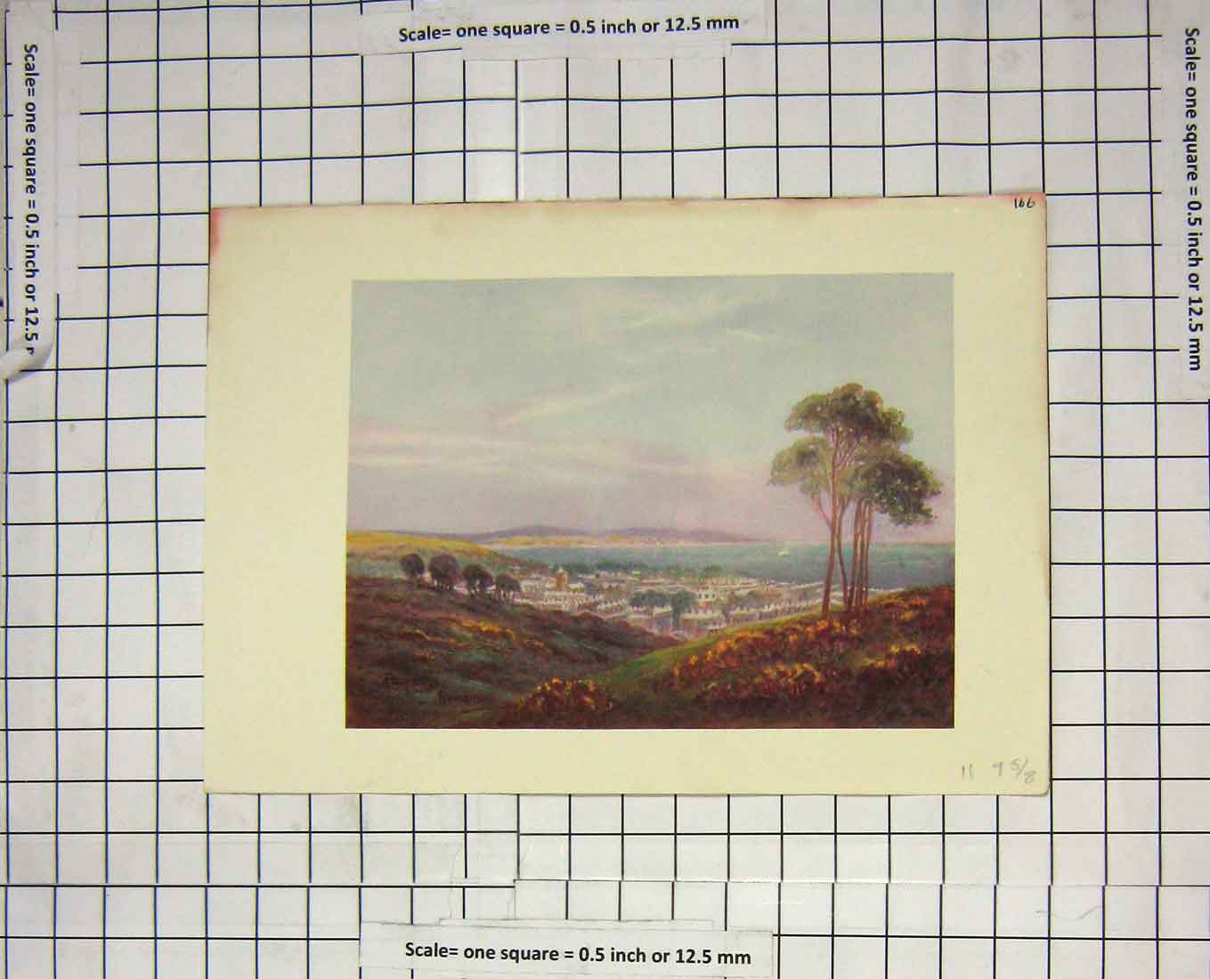 Original Old Antique Print Colour View Town Houses Trees Sea Beach