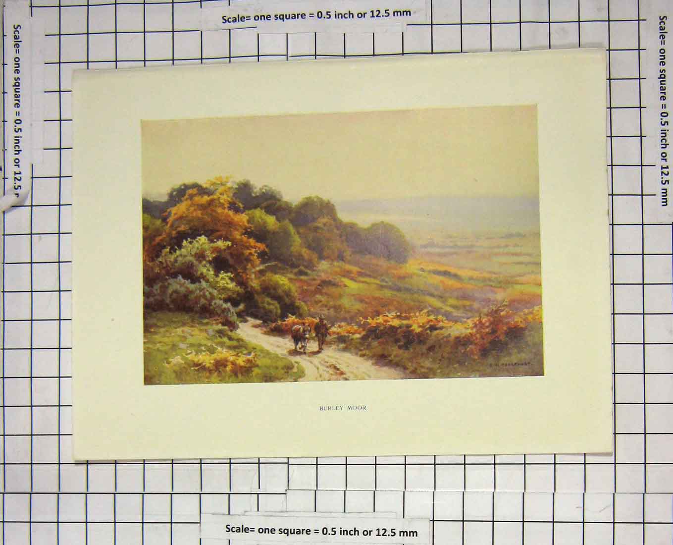Original Old Antique Print Colour View Burley Moor Man Donkey Haslehst
