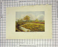 Original Old Antique Print Colour Marsh Marigs Longwater England