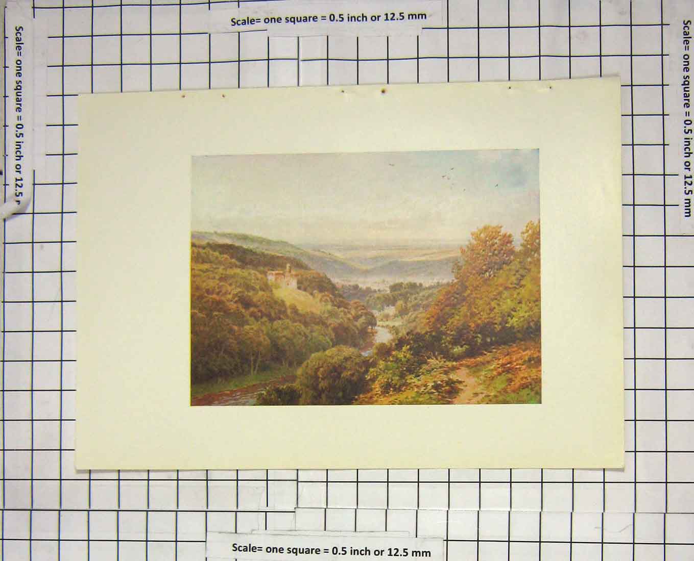 Original Old Antique Print Colour Landscape Castle River Trees Birds Country