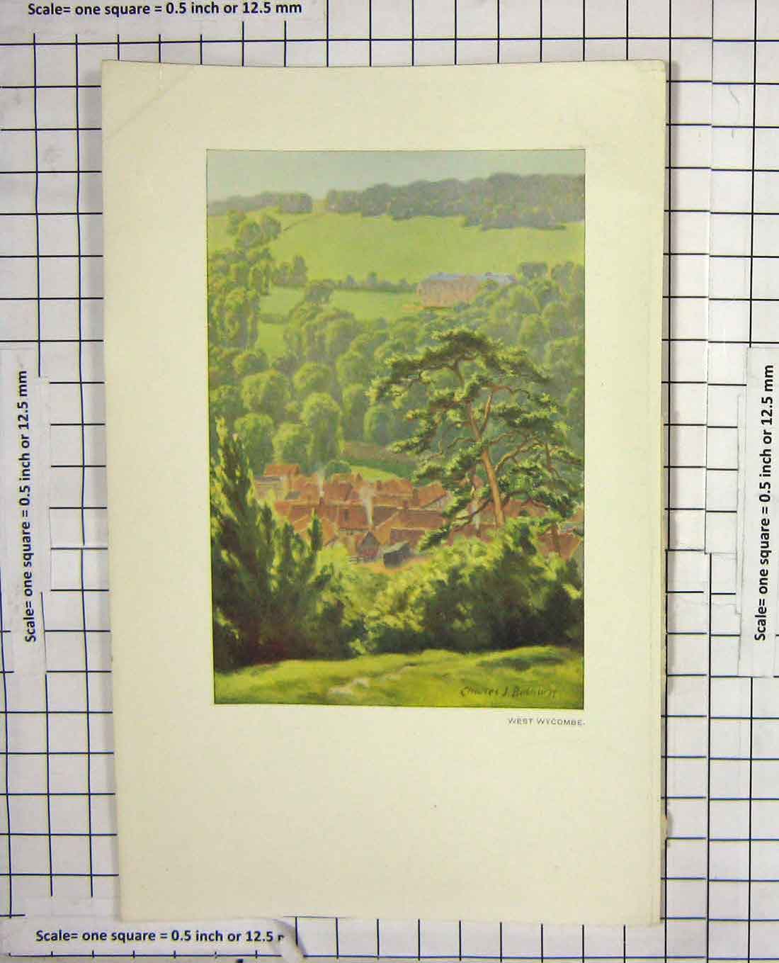 Original Old Antique Print Colour View West Wycombe Houses Trees Bathurst
