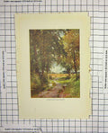 Original Old Antique Print Colour View Shady Lane Didcot Trees Palmer