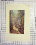 Original Old Antique Print Colour View Cliffs Trees Lady Burton
