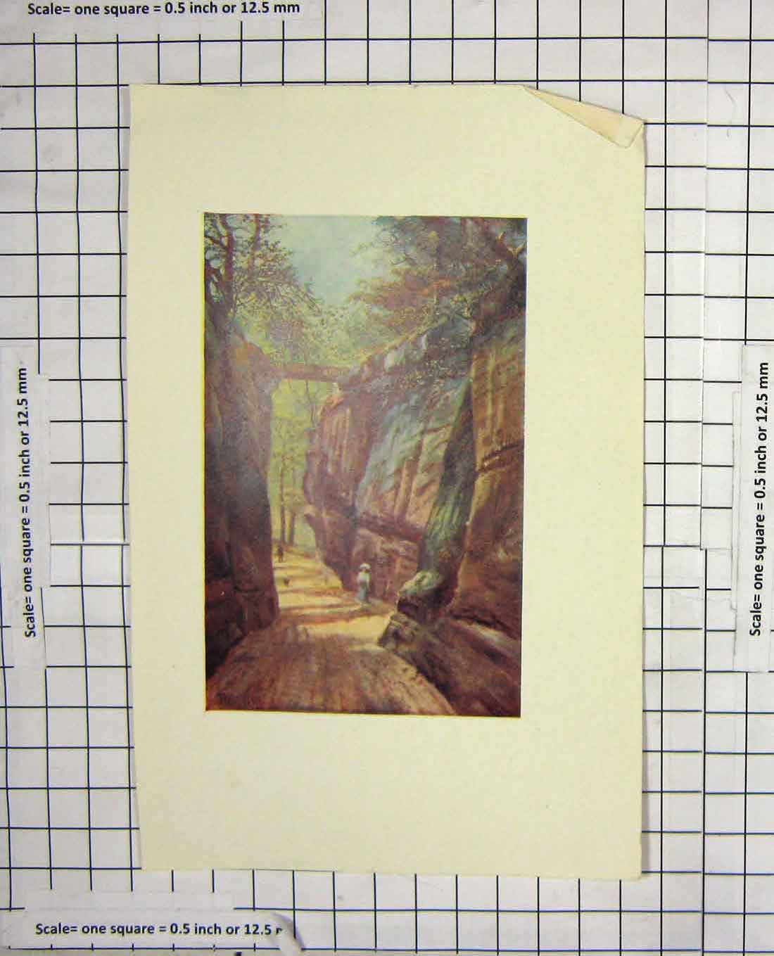 Original Old Antique Print Colour View Cliffs Trees Lady Burton